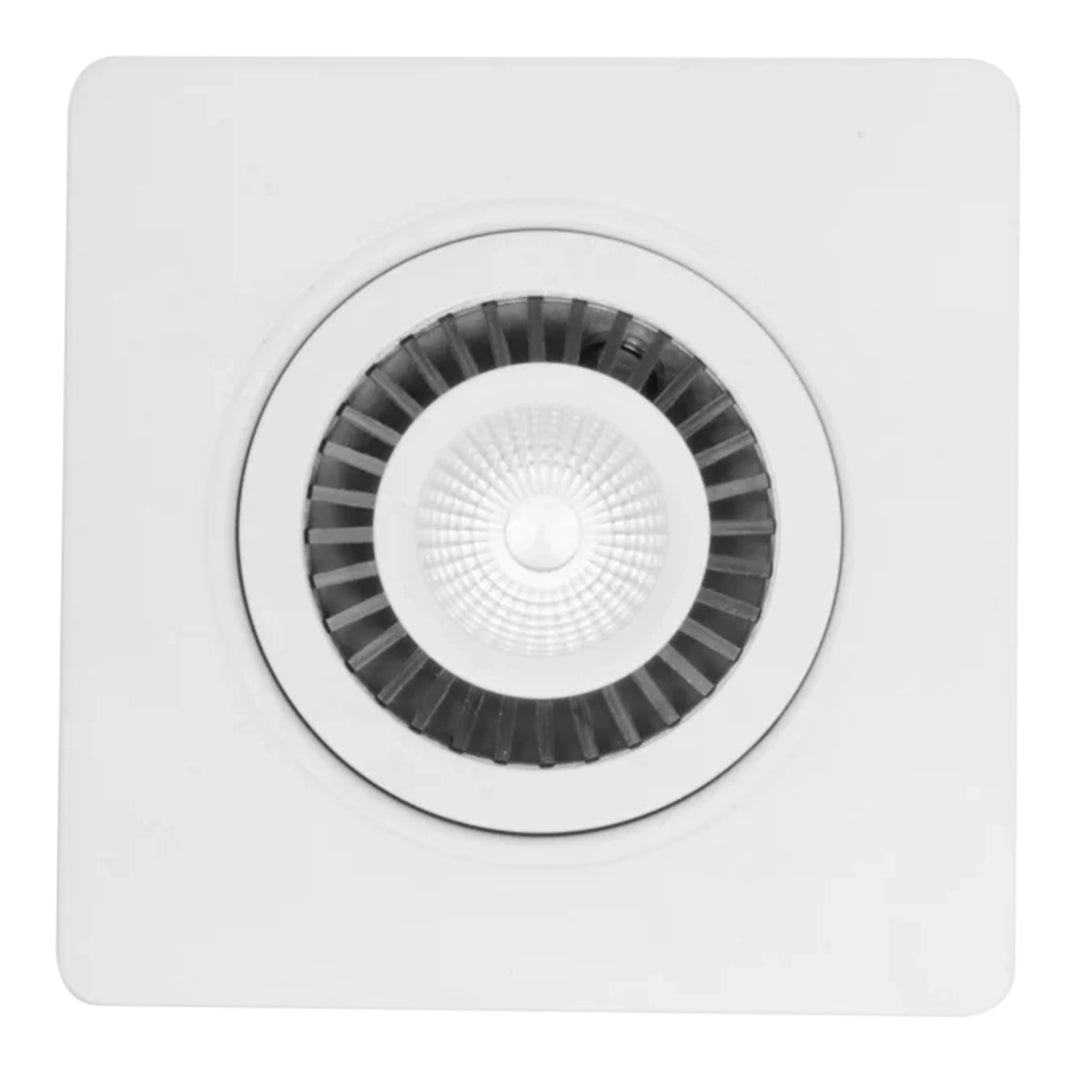 COB 3W Square WH D55M AN 18° 3000K - Spot Light