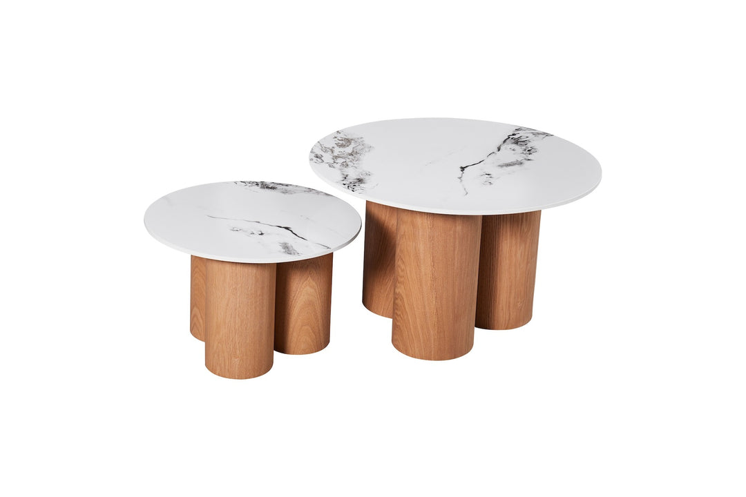 ROSITA COFFEE TABLE &amp; SIDE TABLE SET OF 2
