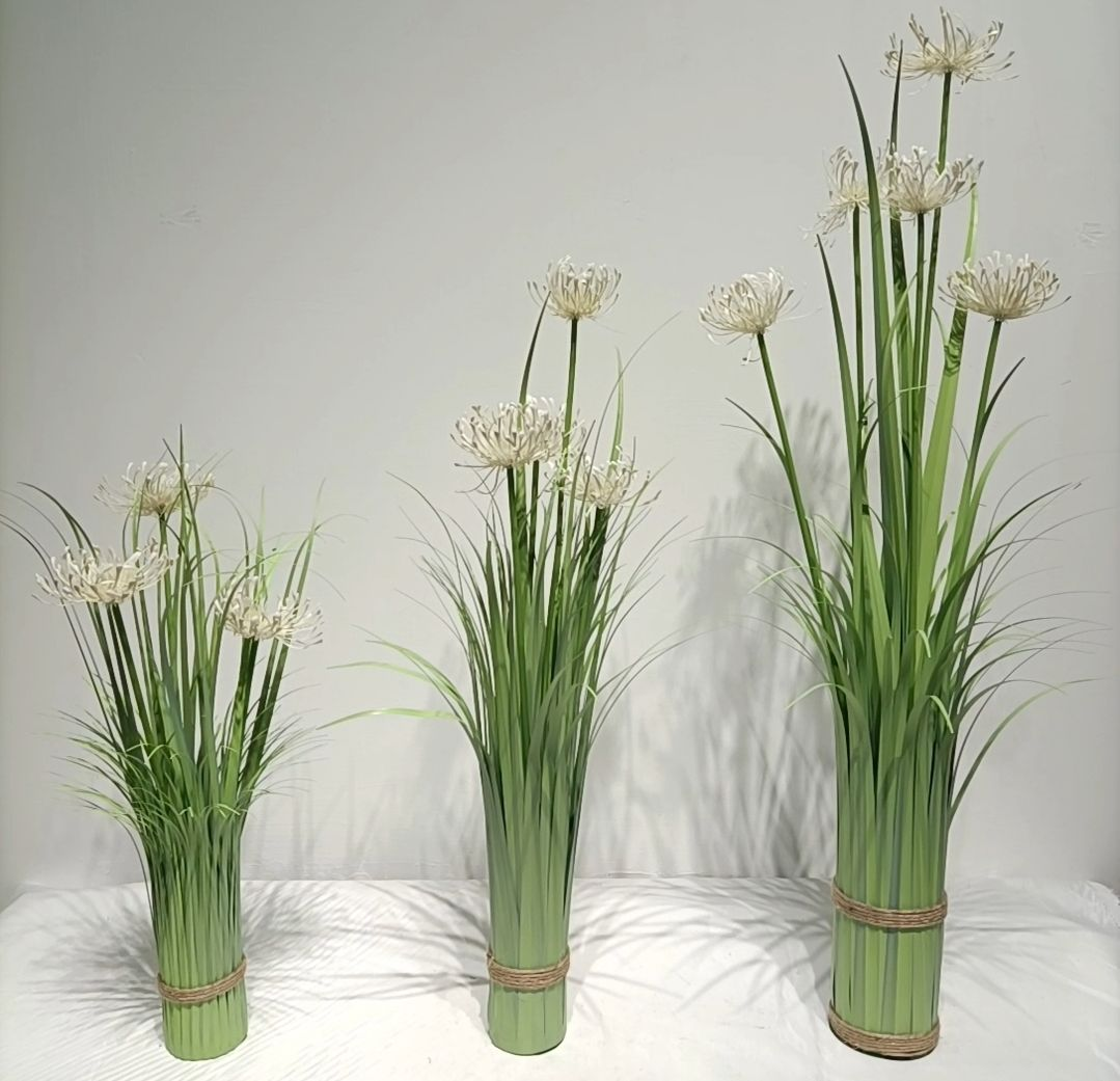 Chrysant Chrysanthemum Grass 5 Heads