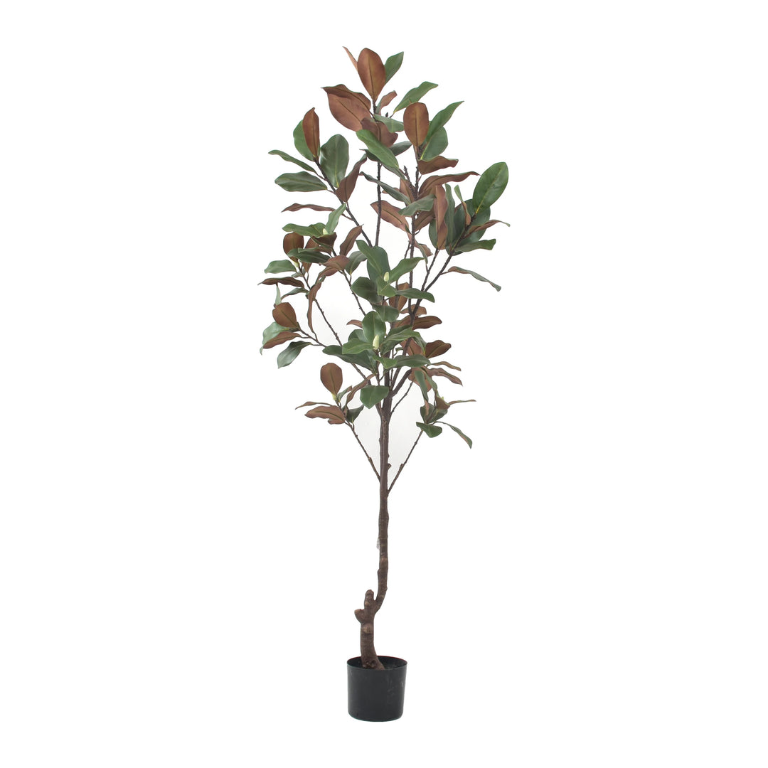 Little Magnolia Artificial Plant