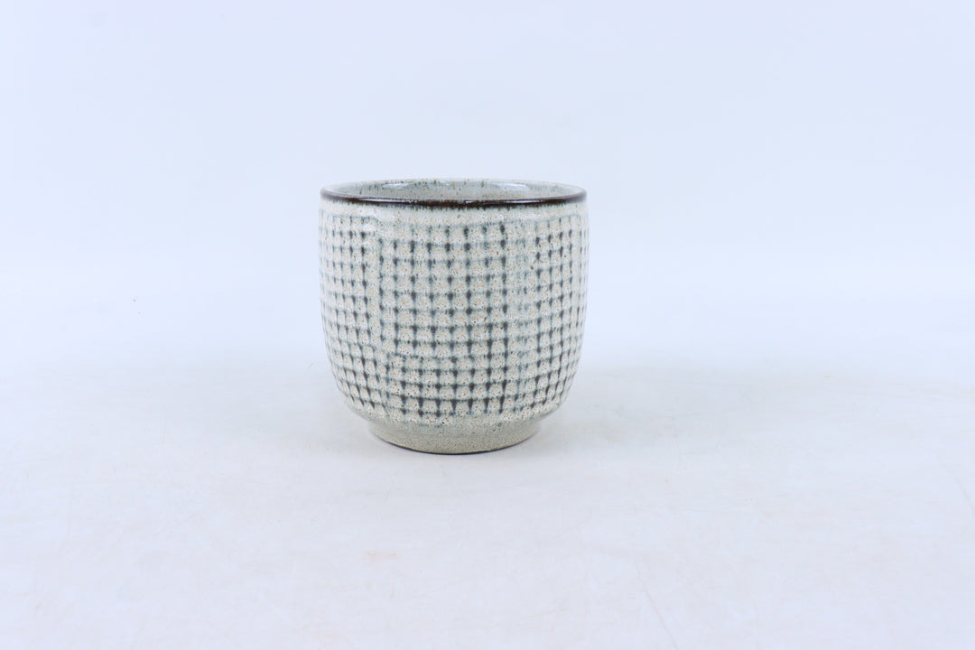 Ray Ceramic Planter