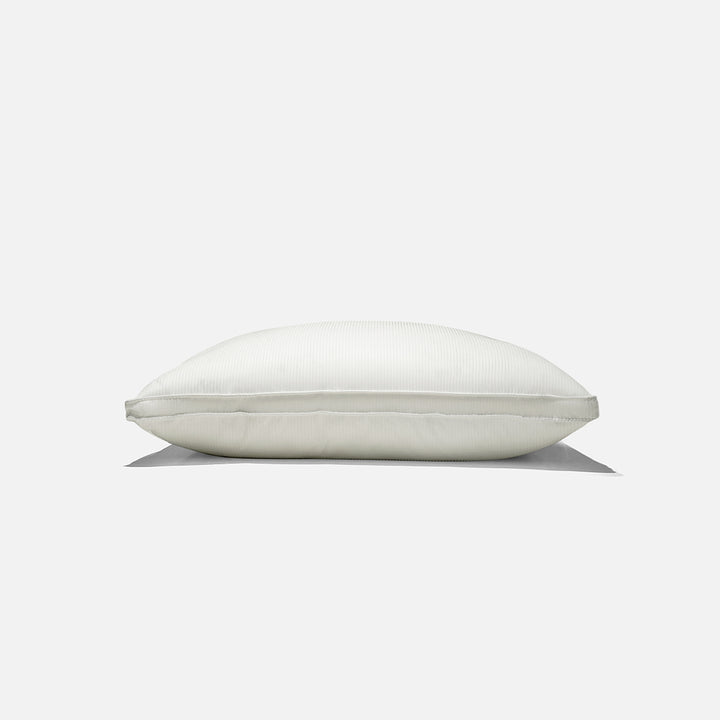 AUTUMN SNOW FLAKE PLUSH PILLOW