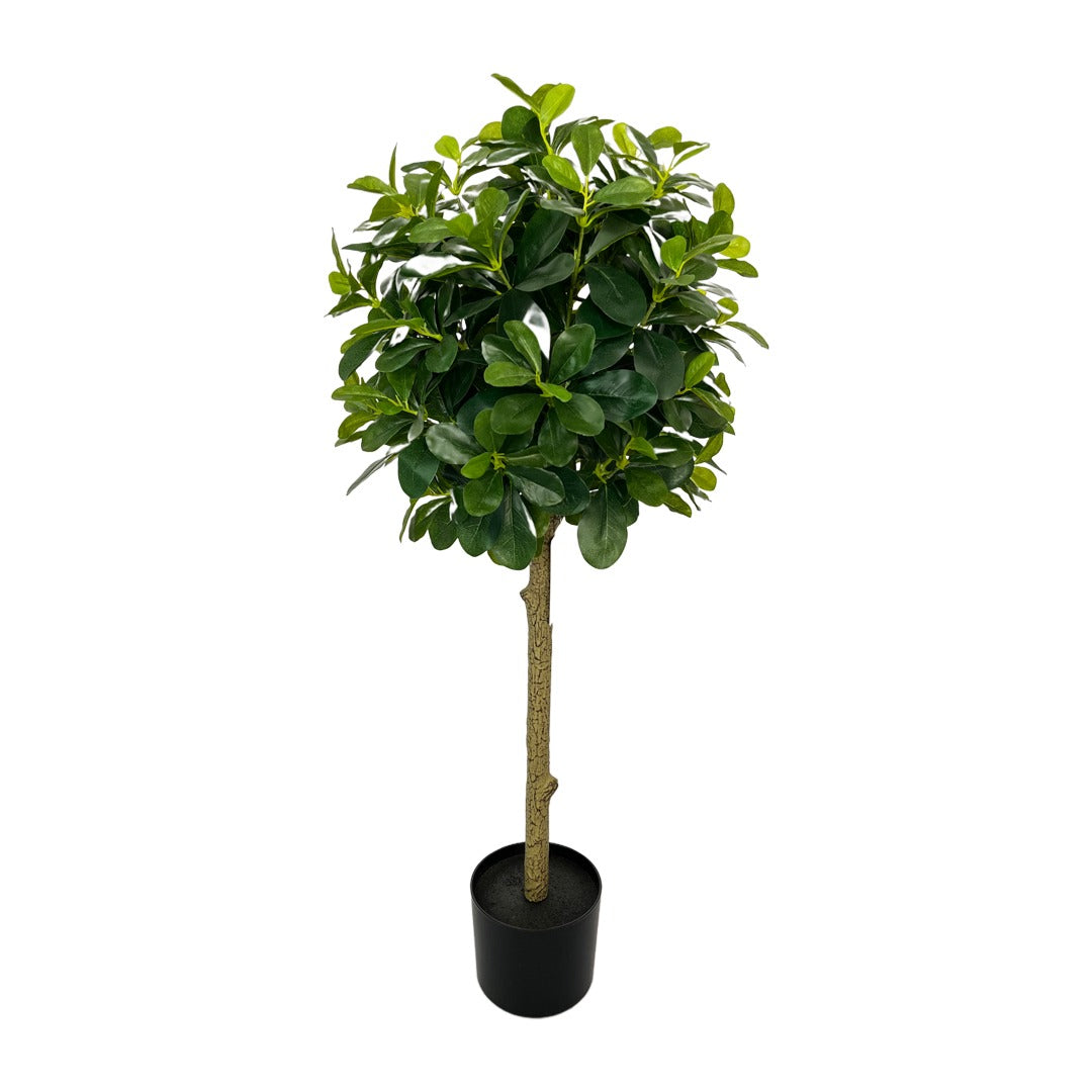 POLYSCIAS ARTIFICIAL PLANTS 100 CM 