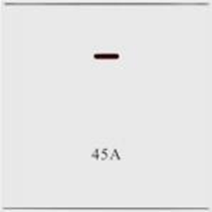 RENATA SWITCH 45A WHT