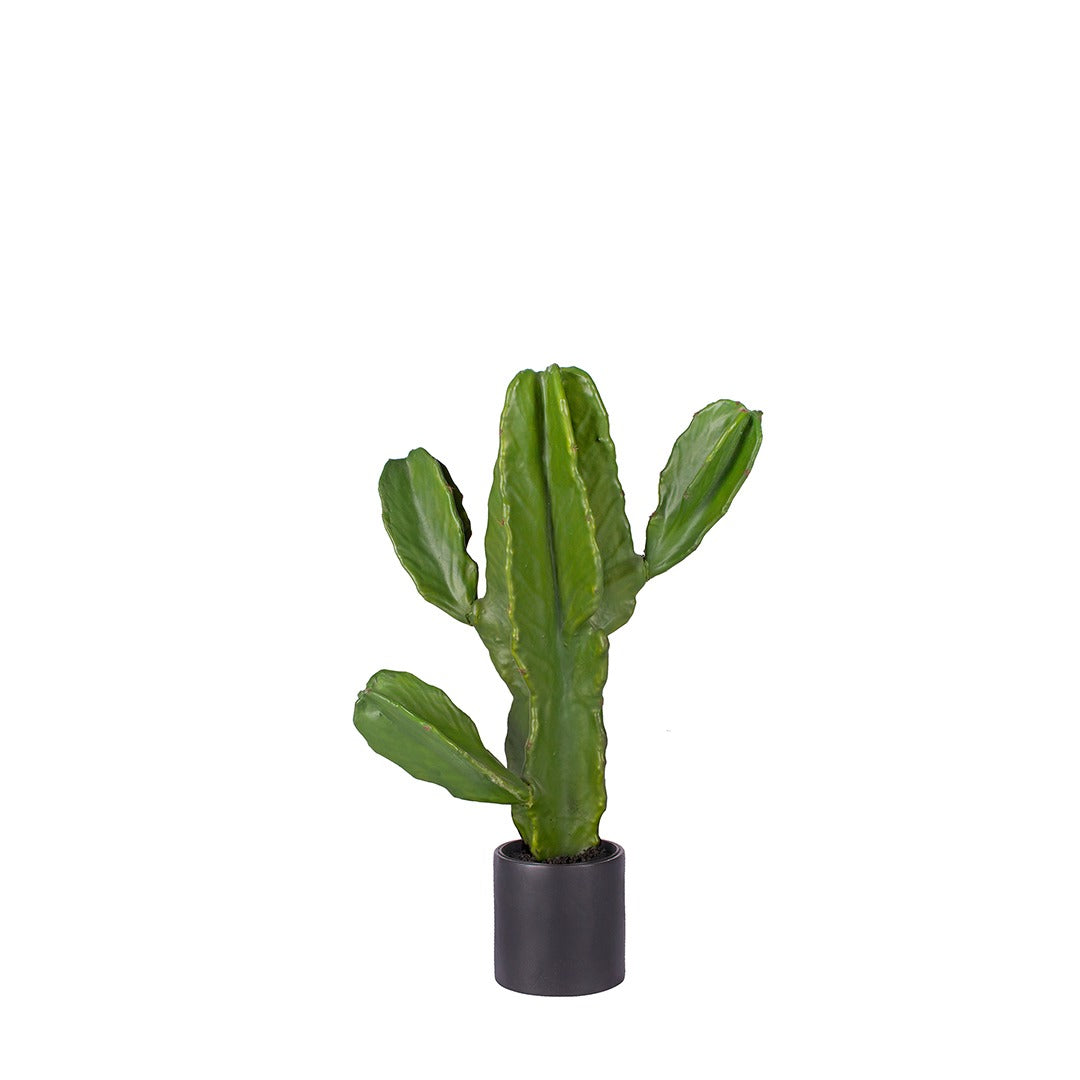 CACTUS ARTIFICIAL PLANT 
