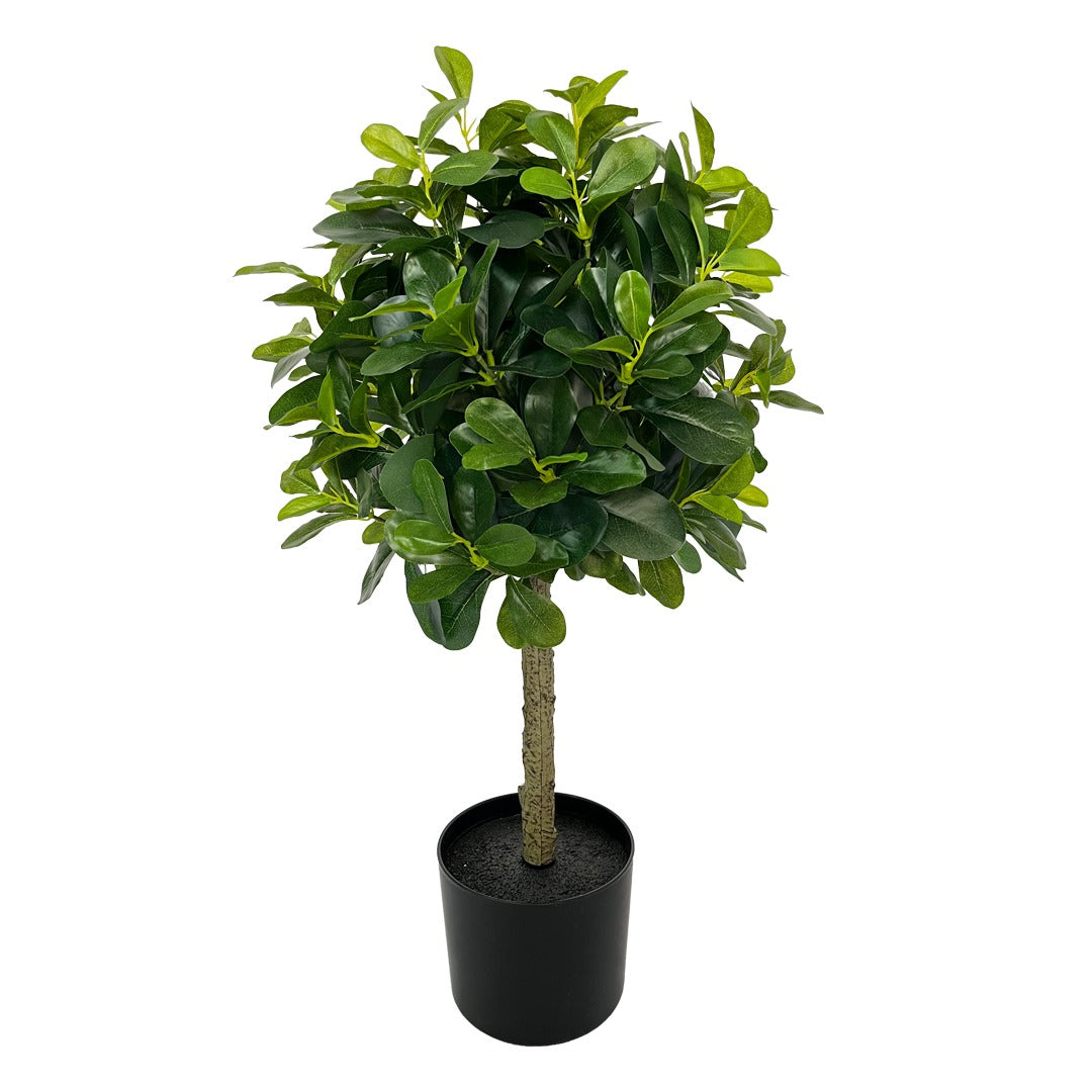 POLYSCIAS ARTIFICIAL PLANTS 80 CM