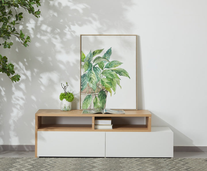 RONNIE TV STAND 