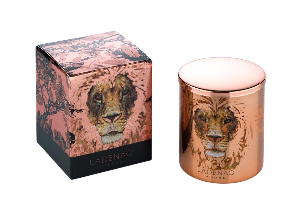 Ladenac africa lion candle in jar 75gr 