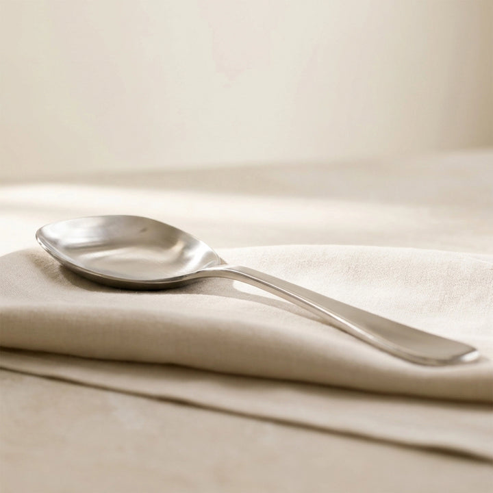 ZIA  RICE SPOON 