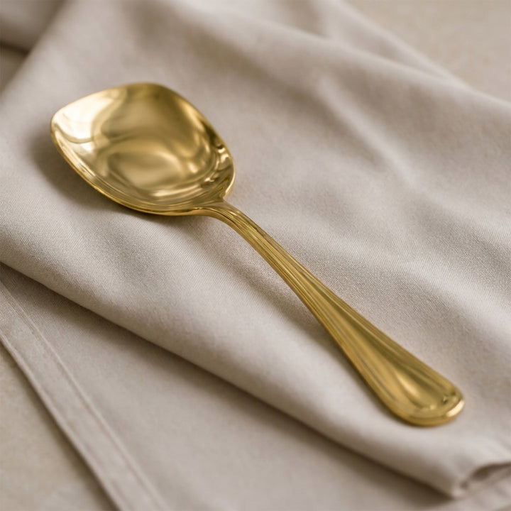 ZIA  RICE SPOON 