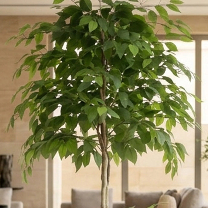 TATUM-BANYAN  ARTIFICIAL PLANT