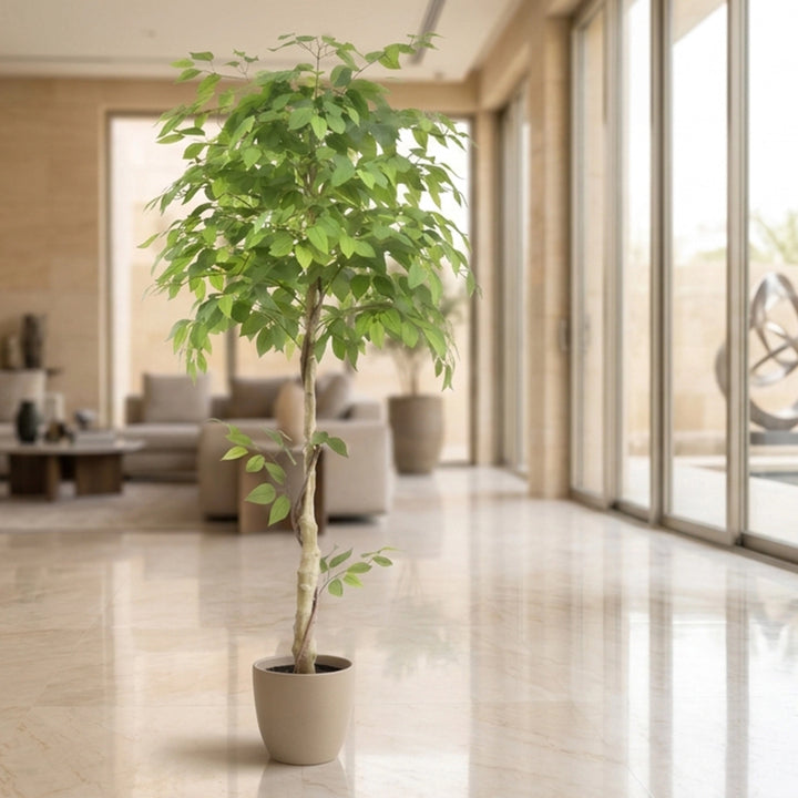 TATUM-BANYAN  ARTIFICIAL PLANT