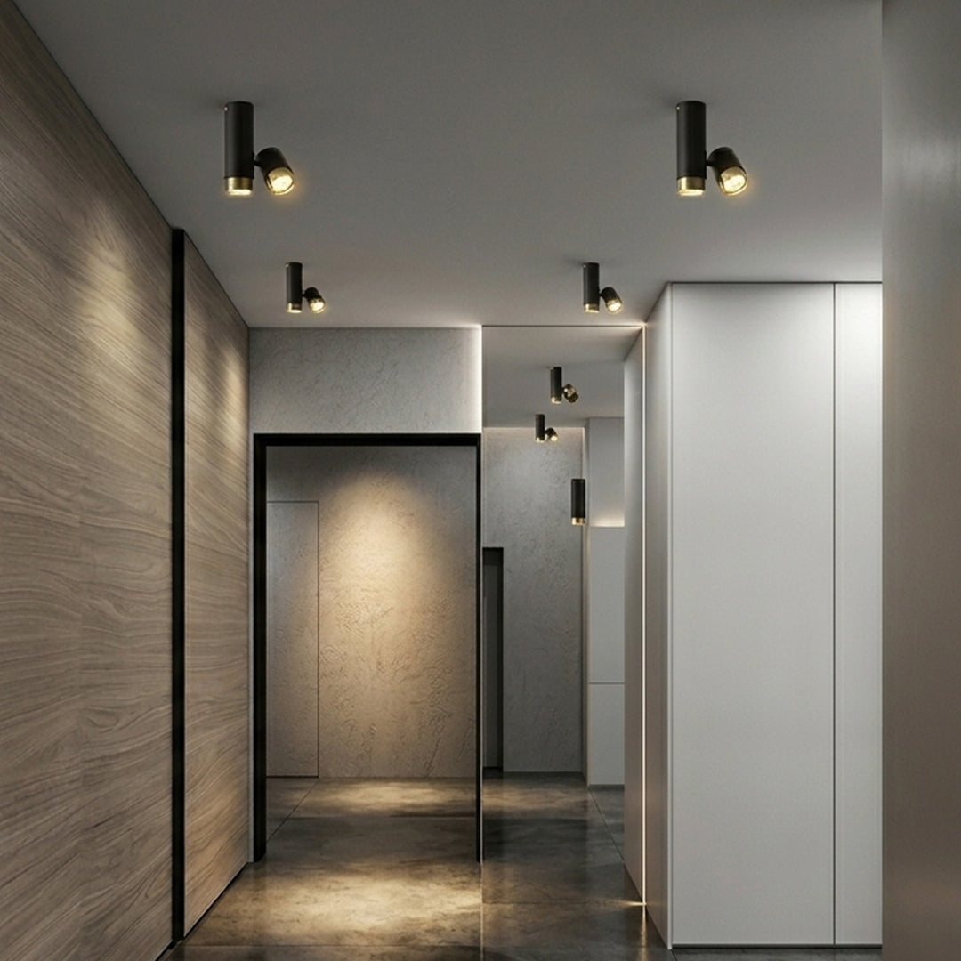 CEILING LAMP 2*GU10-5W 130*170*60 BK+GD
