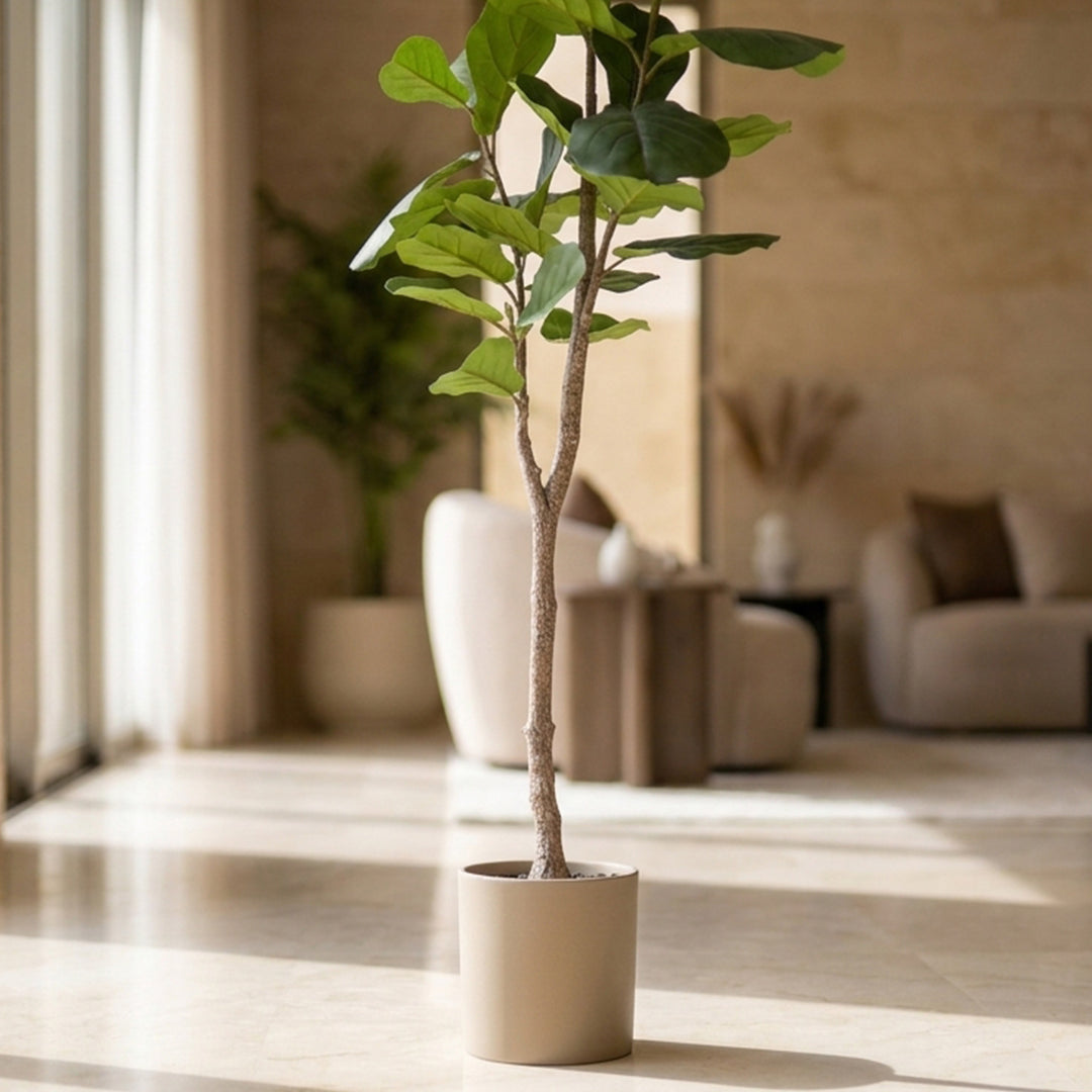 FIDDLE  ARTIFICIAL PLANT