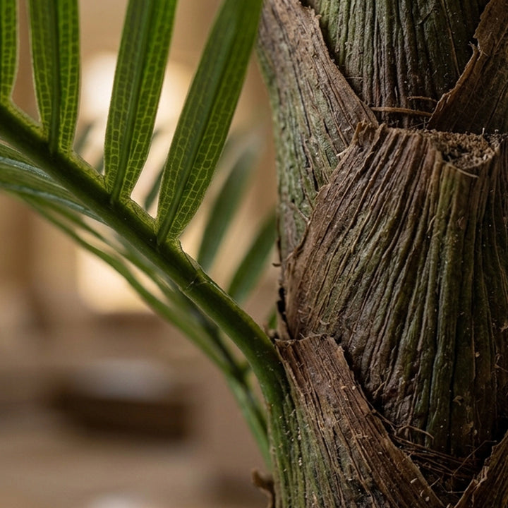 KEEL  ARTIFICIAL PLANT 