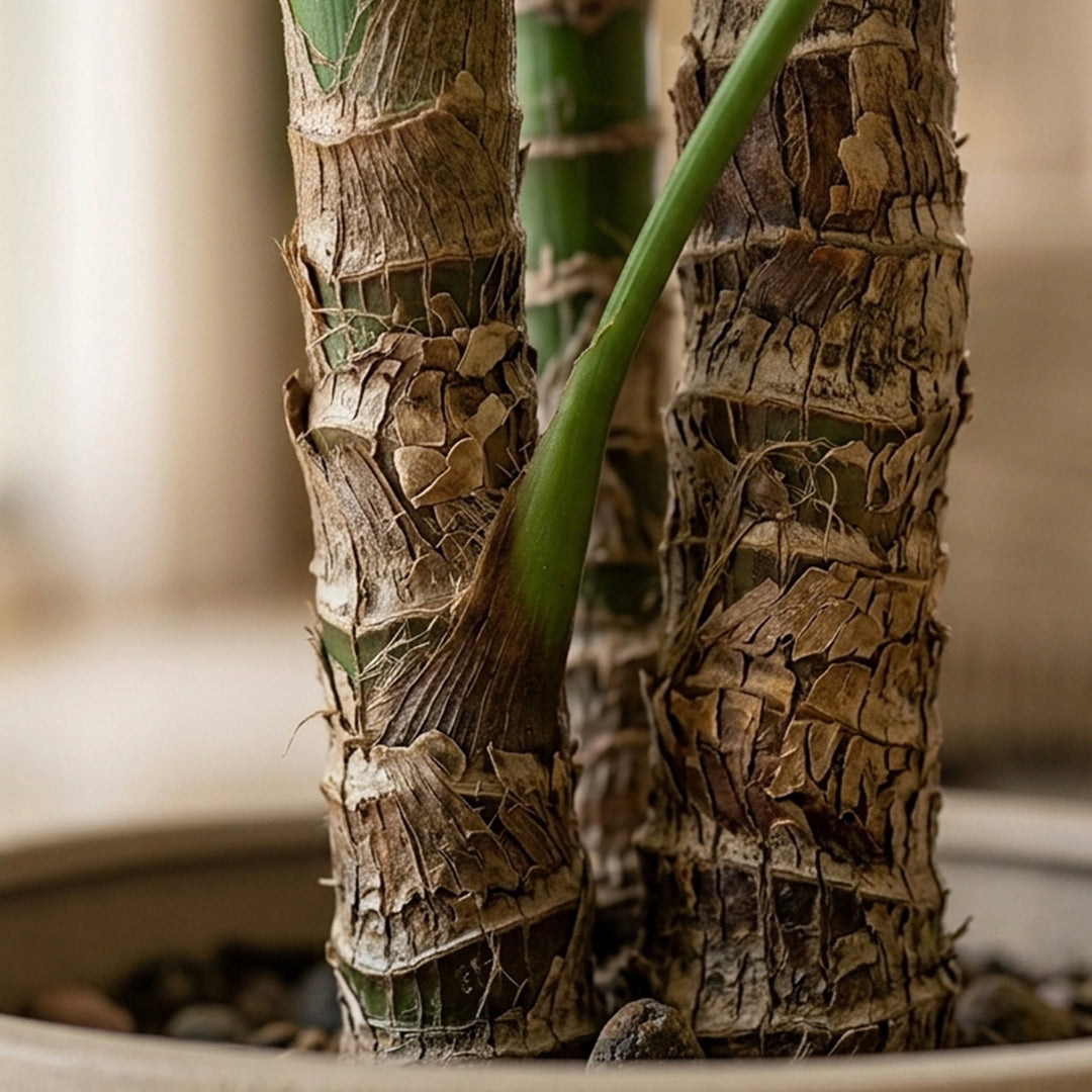 CACTUS ARTIFICIAL PLANT 