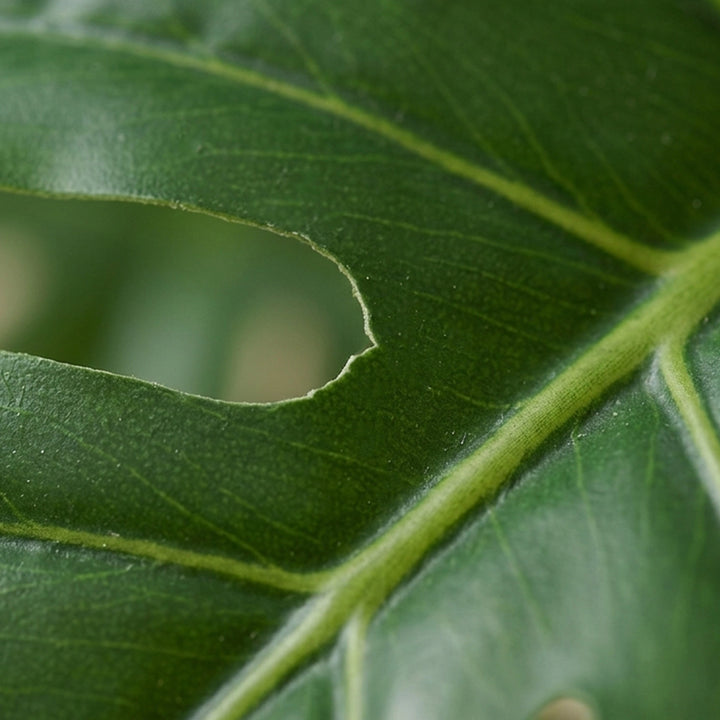 MONSTERA ARTIFICIAL PLANT 