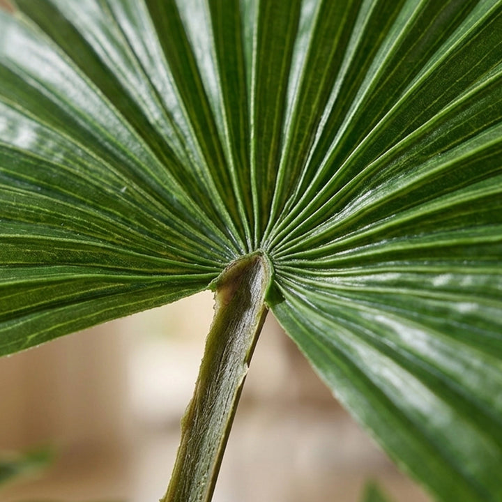 FAN ARTIFICIAL PLANT 