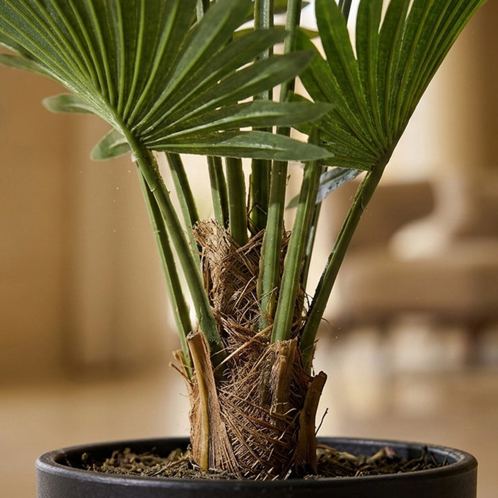FAN ARTIFICIAL PLANT 