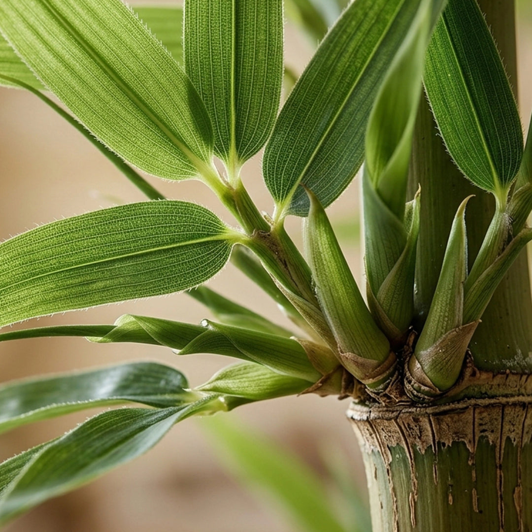 STEVIE-BAMBOO ARTIFICIAL PLANT