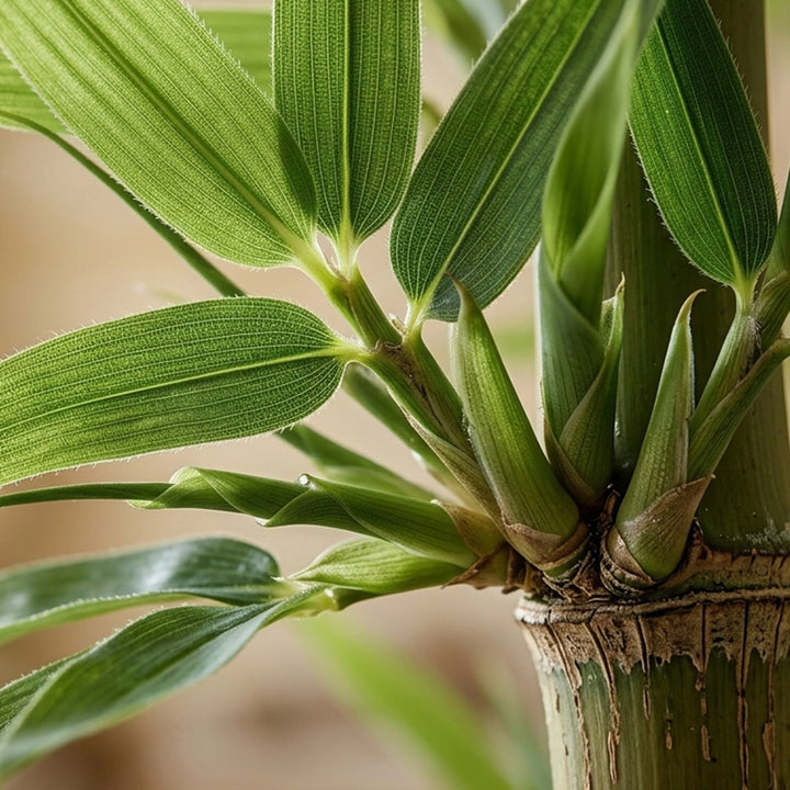 STEVIE-BAMBOO ARTIFICIAL PLANT