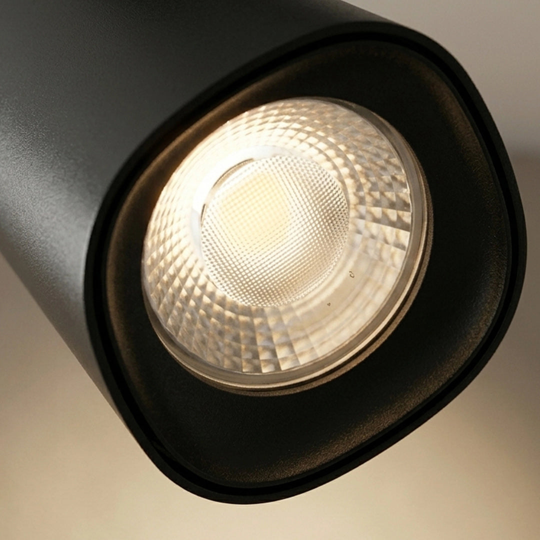 Track Light BK 12W 3000K AN 24° - Track Light