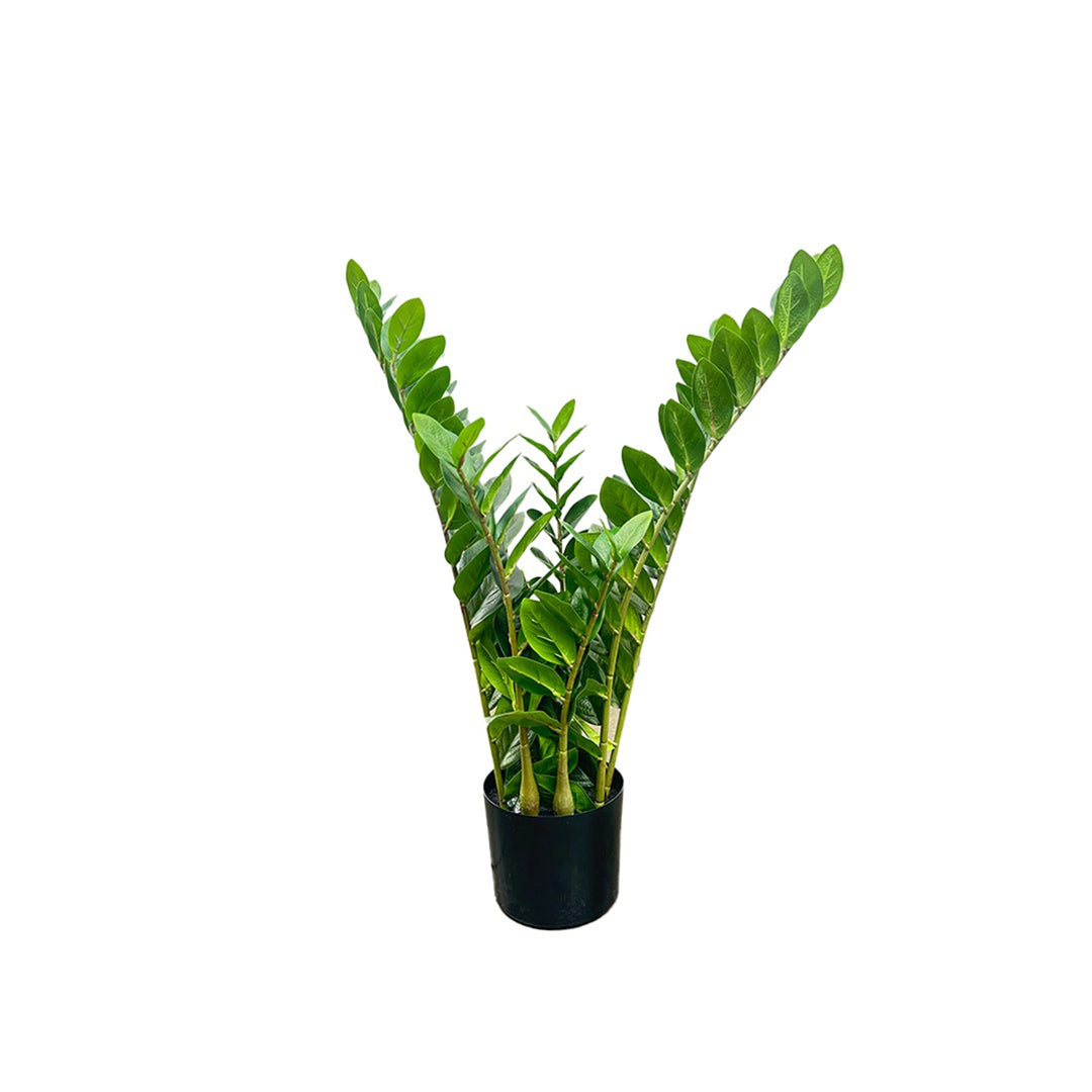 نبات صناعي ميرا موني بلانت