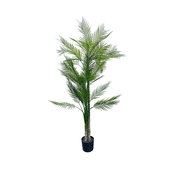 KEEL  ARTIFICIAL PLANT 