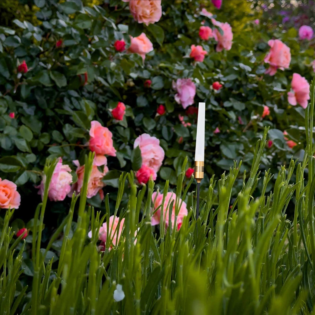 CARMEN OUTDOOR LED LAMP