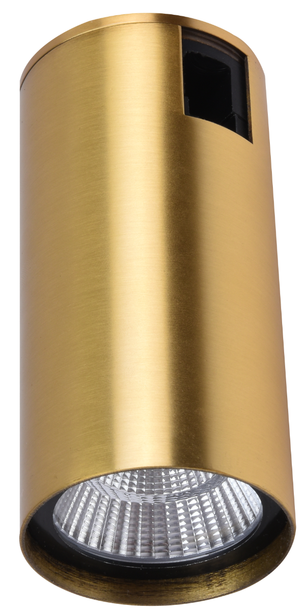 Firefly Magnetic Spot Light 5W - Gold