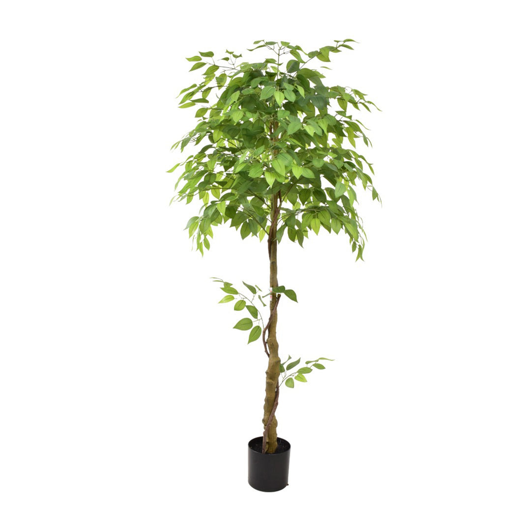 TATUM-BANYAN  ARTIFICIAL PLANT