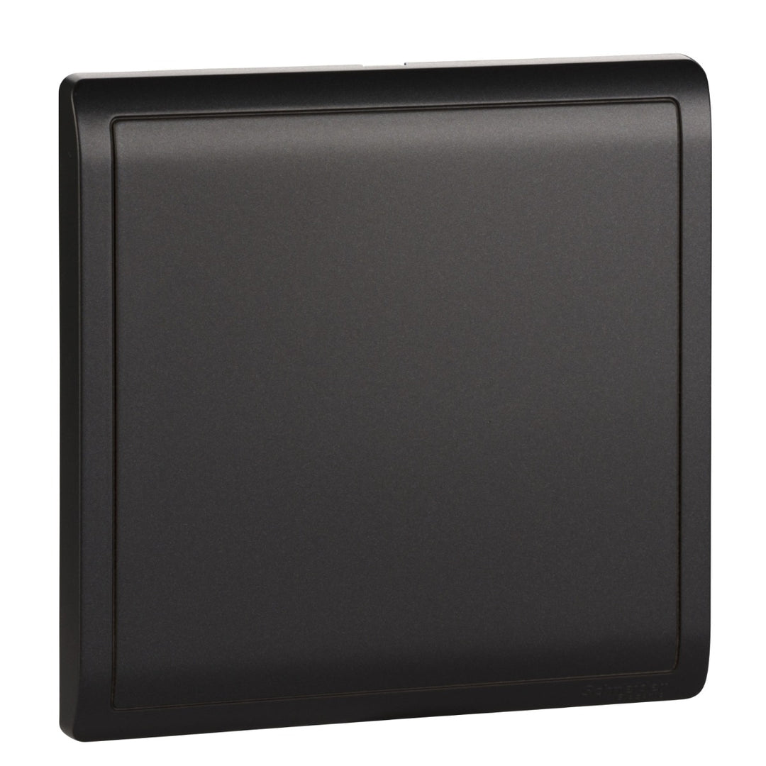 PIENO-1 G Blank Plate