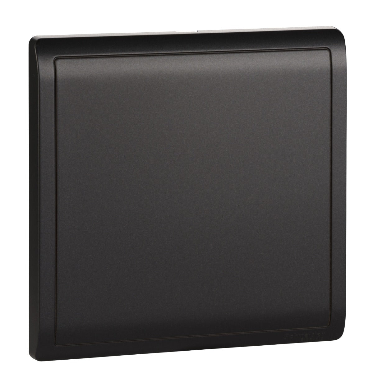 PIENO-1 G Blank Plate