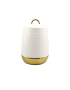 Firefly Roberts Coffee Canister Porcelain - White/Gold