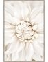 فايرفلاي لوحة الوردة البيضاء  مع إطار - 80 × 120 سم
