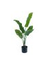 LARGE CORIANDER LEAVES BONSAI ARTIFICIAL PLANTS 40.5*40.5*53 CM