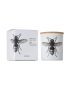 Vila hermanos insect calabrone candle in jar 190gr wood wick