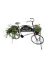 فاير فلاي دراجة ديكور حاملة زهور ونباتات أسود